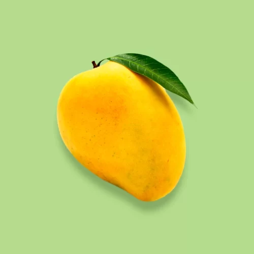 Portada de Mango